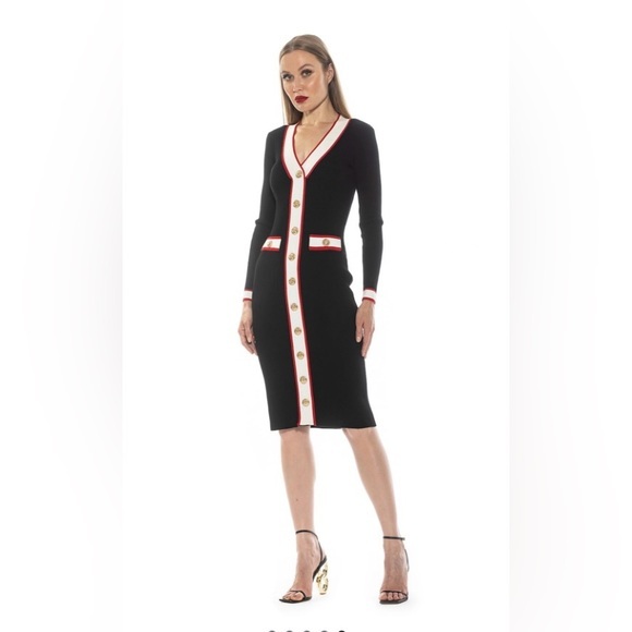 Alexia Admor Dresses & Skirts - ALEXIA ADMOR Janet V-Neck Button-Front Knit Dress